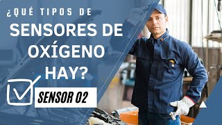 ¿Qué TIPOS de SENSORES de Oxígeno hay 🚗🚗🚗 [upl. by Cinamod]