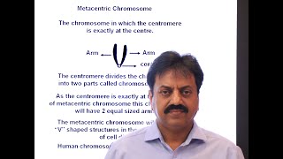 Types of Chromosomes on the basis of position of centromere In Sindhi  XI Biology  Chapter 4 [upl. by Anileuqcaj811]