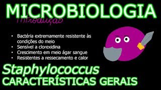 Aula Microbiologia Médica 7  Staphylococcus Características gerais [upl. by Iglesias]