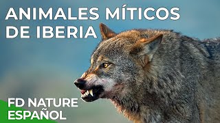 Animales Míticos de Iberia  Free Documentary Nature Español [upl. by Salchunas914]