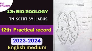 12th bio zoology practical record english medium 202324 12thbiology practical record [upl. by Krystal]