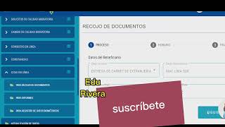 Citas de recoger carnet Migraciones Perú problemas y soluciones [upl. by Hasen802]