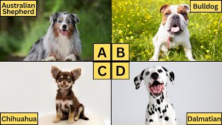 ABC Dogs  Learn Alphabet from A to Z  Dog Breeds for Kids [upl. by Haim76]