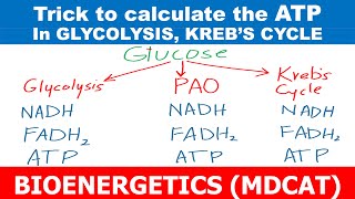 TRICK  CALCULATE NET ATPs  BIOENERGETICS  UHS MDCAT  UHS BIOLOGY [upl. by Ainnek]