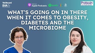 What’s Going On In There When It Comes To Obesity Diabetes And The Microbiome  Ruth Gostelow [upl. by Cynde630]