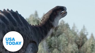 Scientists discover new species of duckbilled dinosaurs in Chile  USA TODAY [upl. by Alliehs]