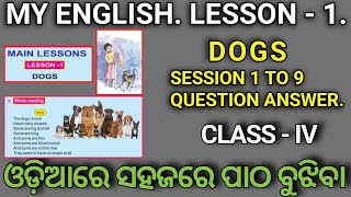 4th class english lesson 1 dogs  4th class english dogs question answer  4th class english dogs [upl. by Hendry]