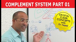 Complement System  Immunology  Part 118 [upl. by Bonnibelle]