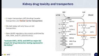 Renal Solute Carrier SLC Transporters [upl. by Rafael805]