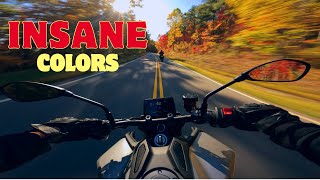 FOOTHILLS PARKWAY INSANE FALL COLORS RAW MOUNTAIN RIDE ON 2024 YAMAHA MT09sp [upl. by Noyerb380]