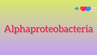 What is Alphaproteobacteria [upl. by Etram]