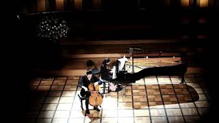 Haydn Divertimento in D Major Arr Piatigorsky  III Allegro di molto [upl. by Hewet]