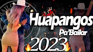 LOS MEJORES HUAPANGOS🔥🌪 Del 2023 [upl. by Thirzia]