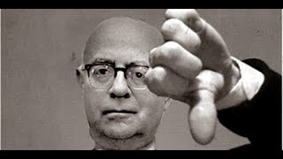 THEODOR ADORNO  हिंदी में   ALL ABOUT SOCIOLOGY [upl. by Eob1]