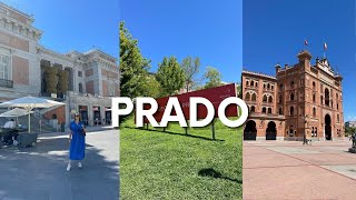 PRADO  NAJŚMIESZNIEJSZY LOT DO DOMU  VLOG [upl. by Yelsnia]