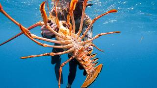 GIANT LOBSTER Bahamas Spearfishing Catch amp Cook [upl. by Olcott]