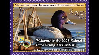 2021 Federal Duck Stamp Art Contest  Day 1 [upl. by Aimek160]