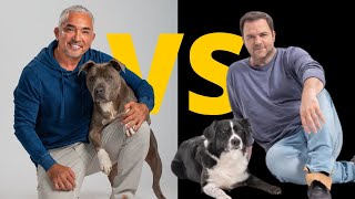 Millan vs Rütter Wer ist der bessere Hundetrainer [upl. by Allain726]