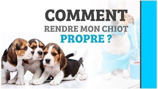 COMMENT RENDRE MON CHIOT PROPRE [upl. by Iand668]