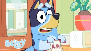 No More Squabbling 😮 💌  Bluey Season 2 Highlight  Postman  Bluey [upl. by Primavera874]