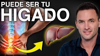 Dolor de ESPALDA alta por problemas de HIGADO 😖  Hígado graso  3 Tratamientos naturales [upl. by Oakleil]