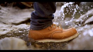 Red Wing 8111 Iron Ranger x 875 Moc Toe Mood [upl. by Aid216]