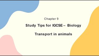 Study Tips for IGCSE  Biology  Transport in animals [upl. by Gadmann]