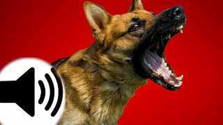 Dogs Barking Sound Effect [upl. by Bortz821]