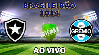 Botafogo e Gremio piores momentos [upl. by Bascomb]