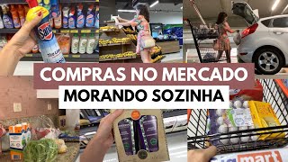 COMPRAS DO MÊS NO SUPERMERCADO MORANDO SOZINHA 🛒❤️  Inara Souza [upl. by Hamer]