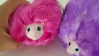 New Singing Purring Pygmy Puff Plush at Universal Studios Wizarding World of Harry Potter [upl. by Anawd442]