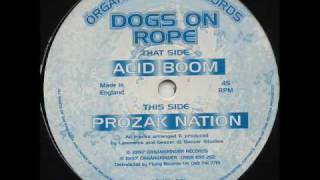 Organgrinder 1  Dogs On Rope  Acid Boom [upl. by Armallas]