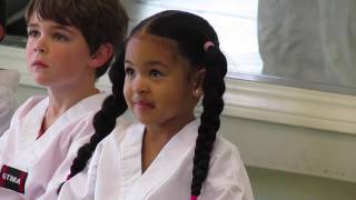 4 Year Old Learning Taekwondo Martial Arts Vlog 177 [upl. by Yvor]