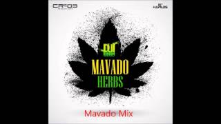 Mavado  Mix 2014 Lo Mejor [upl. by Alleroif]