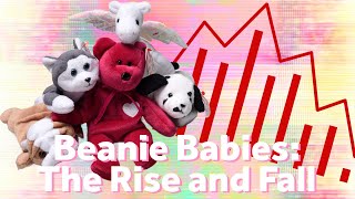 Beanie Babies were all the rage in the ‘90s Why were they so popular and expensive [upl. by Ehlke]