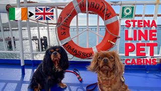 STENA NORDICA pet friendly cabin Rosslare to Fishguard [upl. by Loris]