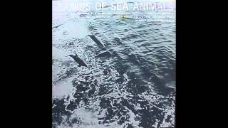 sounds of sea animals part 2 porpoise sounds [upl. by Nocaed533]