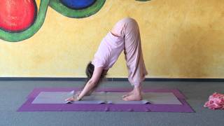 Short Yoga Sequence Mayuri Asana Ustrasana Svanasana Padahastasana Tatasana [upl. by Arlon290]