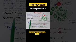 Photosystem photosystem I and II [upl. by Casabonne]