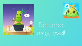 Plant nanny 2  Bamboo max level [upl. by Norra]