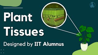 Plant Tissues Explained and Designed by IIT Alumnus [upl. by Kaile]