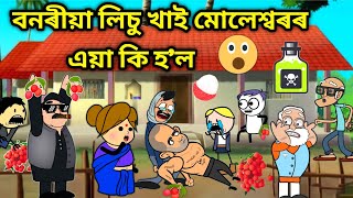 লিচু খাই ভেবেলাহঁতৰ কি হল😱Assamese storyComedy videoFunny Lichi VideoJomoni CartoonLichi Story [upl. by Laon]