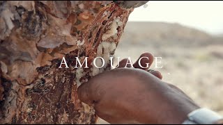 AMOUAGE EXCEPTIONAL EXTRAITS [upl. by Akinam]