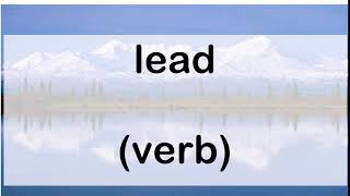 241 lead verb [upl. by Okimuy]