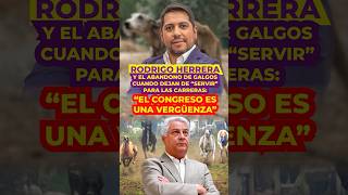 Rodrigo Herrera y el abandono de galgos cuando dejan de servir “El Congreso es vergüenza” [upl. by Ayifa]