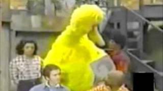 Big Bird learns about death [upl. by Timofei]