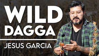 Intro to Wild Dagga  Leonotis leonurus with Jesus Garcia [upl. by Ellerrehc]