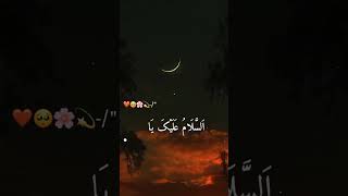 Raqqat Aina Ya Shauqan  beautiful Arabic naat arabic naat ytshorts islam [upl. by Aihsenrad803]