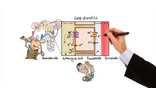 Pharmacology  DIURETICS MADE EASY [upl. by Nauqahs830]