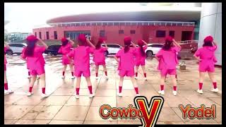 Cowboy Yodel By Cliona Hagan Beginner line dance [upl. by Ynahteb366]